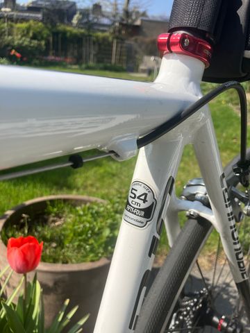 Used Cannondale CAAD 10 Ultegra 2017 Road & Gravel