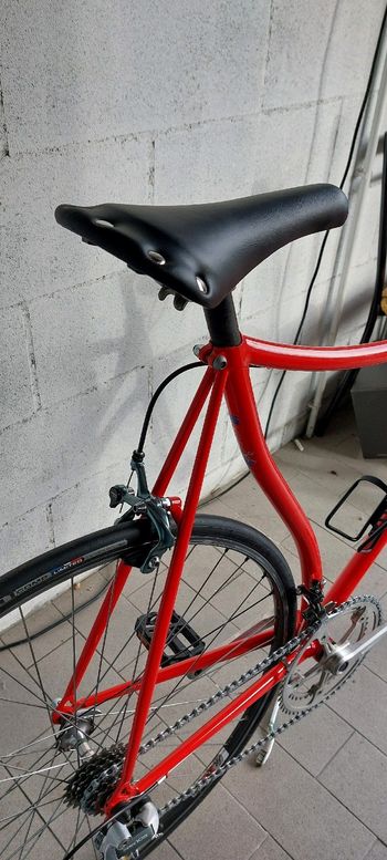Used Mino Denti Custom 1983 Road & Gravel — image 3 of 5