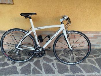 Used Liotto LIOTTO Sprin Pro Carbon 2012 2012 Road & Gravel