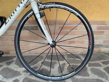 Used Liotto LIOTTO Sprin Pro Carbon 2012 2012 Road & Gravel, White — image 4 of 5
