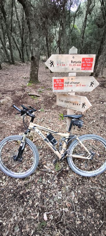 Trek Fuel EX 5.5 2009 Mountainbike usato, Arancione — immagine 2 di 3