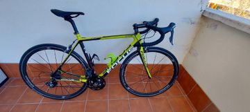 Used Focus Cayó 3.0 2014 Road & Gravel