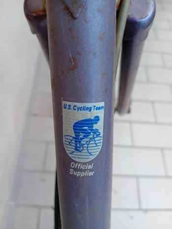 Used Raleigh us race team 2000 Road & Gravel, Purple — image 4 of 6