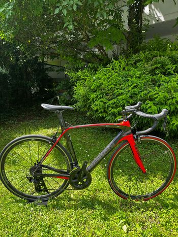 Used Bianchi Oltre xr3 2021 2021 Road & Gravel, Red — image 2 of 11