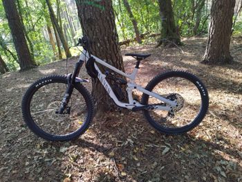 Canyon Torque Mullet AL 7 2023 2023 Mountainbike usato, Grigio chiaro — immagine 3 di 3