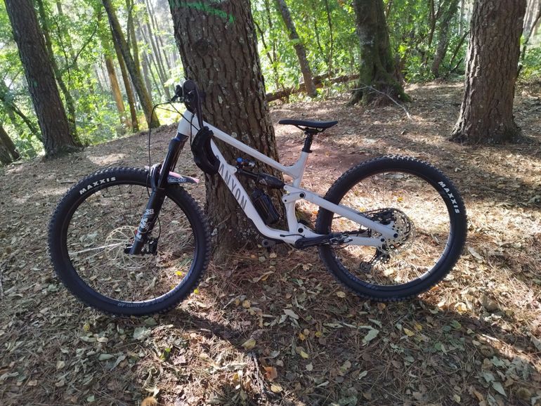 Canyon Torque Mullet AL 7 2023 2023 Mountainbike usato, Grigio chiaro — immagine 3 di 3