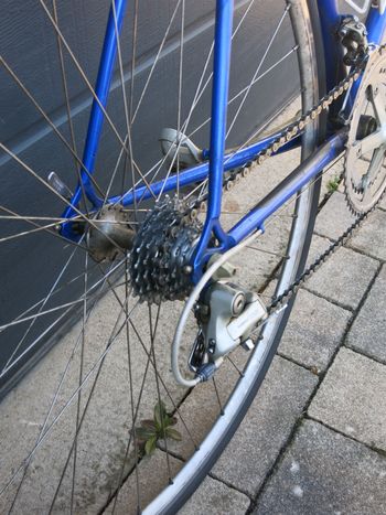 Gebrauchtes Pinarello Cadore 1998 Stahlrenner 1998 Road & Gravel, Blau — Bild 2 von 10