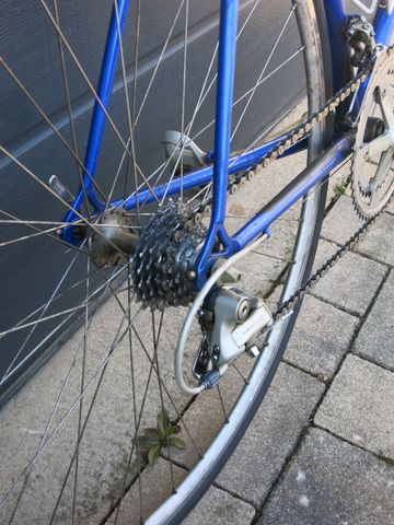 Pinarello Cadore 1998 Stahlrenner 1998 Road & Gravel usato, Blu — immagine 2 di 13
