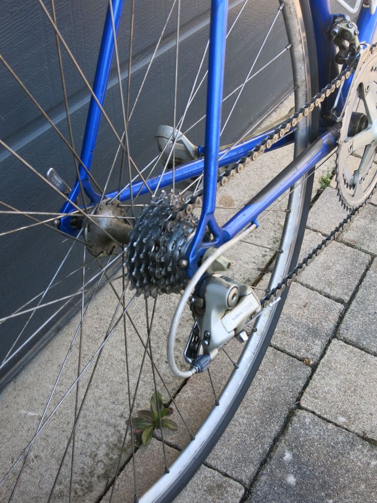 Gebrauchtes Pinarello Cadore 1998 Stahlrenner 1998 Road & Gravel, Blau — Bild 2 von 10