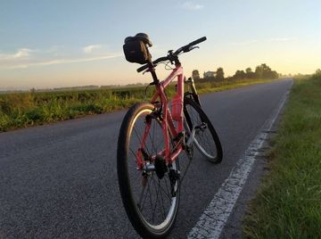 Used Fausto Coppi Santos 2008 Mountainbike, Red, 26 — image 4 of 4