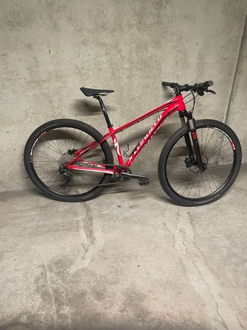 SPECIALIZED 「スペシャライズド」 crave expert 2010年頃 マウンテン