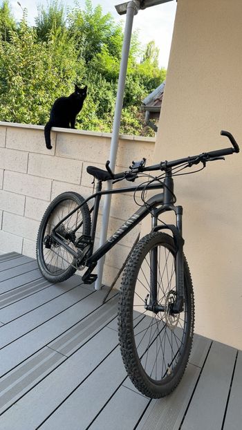 Used Canyon Grand Canyon 7 2022 2022 Mountainbike, Black, 27.5, 29 — image 5 of 5