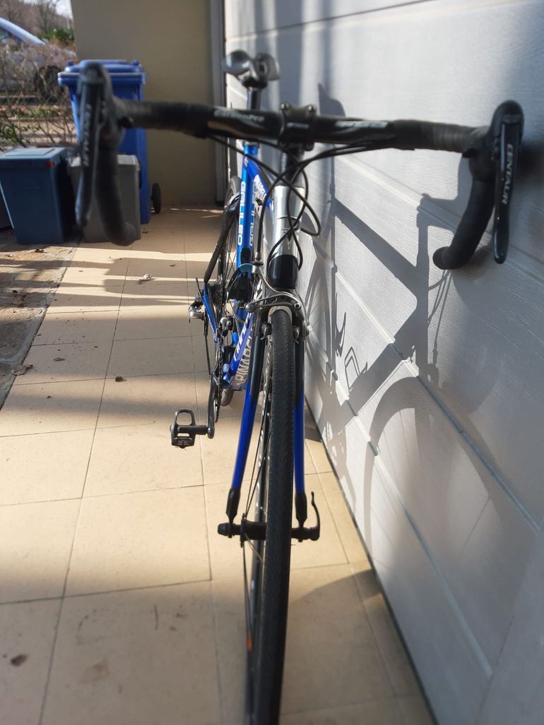 Brugt Pinarello Galileo 2006 Road & Gravel — billede 2 af 3