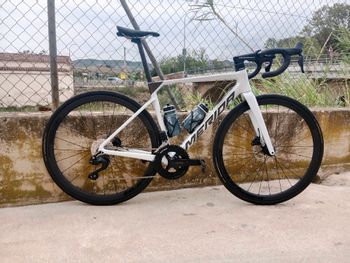 Merida, SCULTURA 6000 Di2 2024