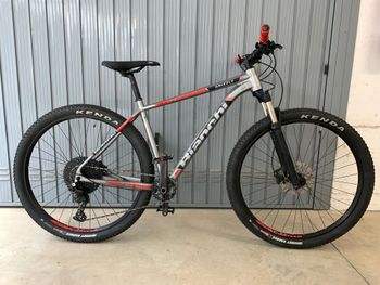 Gebrauchtes Bianchi Grizzly 29.3 2018 2018 Mountainbike, Hellgrau, 29 — Bild 3 von 6