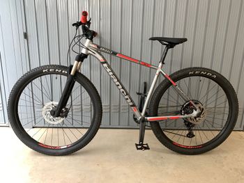 Gebrauchtes Bianchi Grizzly 29.3 2018 2018 Mountainbike, Hellgrau, 29 — Bild 2 von 6