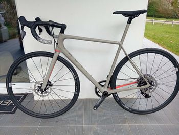 Open MIN-D 2024 Road & Gravel usato