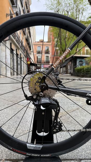 Used Eddy Merckx Eddy Merckx Strasbourg Steel 105 12v + Forza Levanto Carbon 2025 Road & Gravel — image 8 of 9