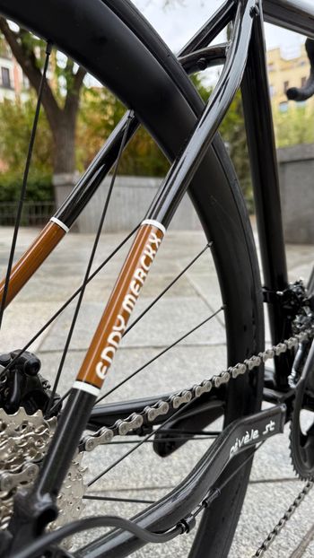 Used Eddy Merckx Eddy Merckx Strasbourg Steel 105 12v + Forza Levanto Carbon 2025 Road & Gravel — image 5 of 9