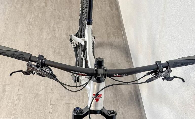 Used Liteville 303 MK1 Race 2025 Mountainbike, Light Gray — image 4 of 9