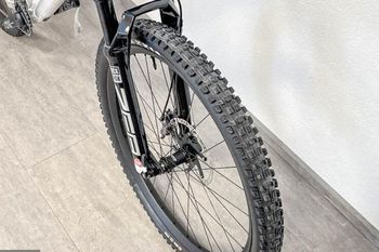Used Liteville 303 MK1 Race 2025 Mountainbike, Light Gray — image 5 of 9