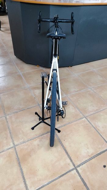 Used Trek Domane AL 4 Gen 3 2023 2023 Road & Gravel, White — image 4 of 4
