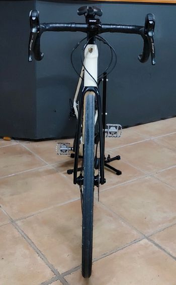 Used Trek Domane AL 4 Gen 3 2023 2023 Road & Gravel, White — image 2 of 4