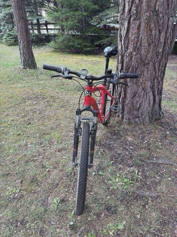 Used ROCKRIDER ST 100 Sport Trail 2020 Mountainbike, Red — image 2 of 3