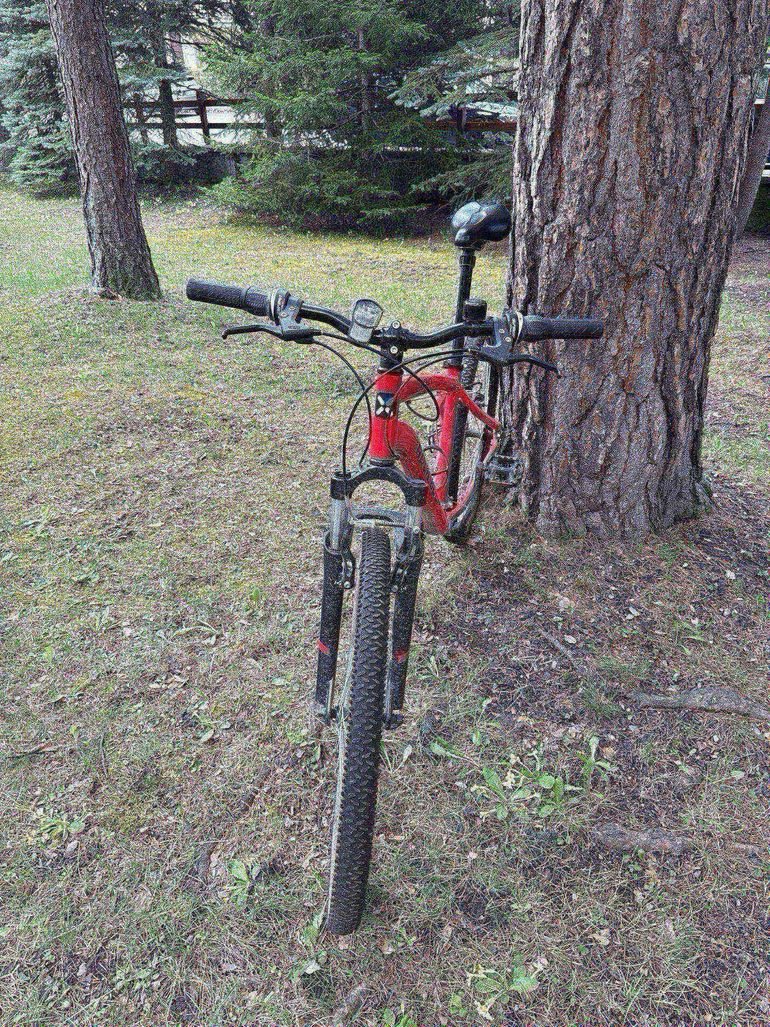 Used ROCKRIDER ST 100 Sport Trail 2020 Mountainbike, Red — image 2 of 3