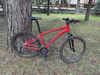Used ROCKRIDER ST 100 Sport Trail 2020 Mountainbike, Red — image 1 of 3