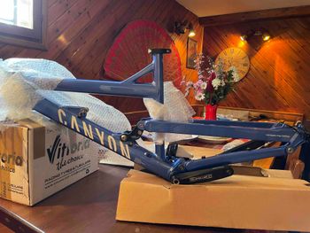 Used Canyon Torque FRX F8 Frameset 2010 Mountainbike, Blue — image 3 of 3