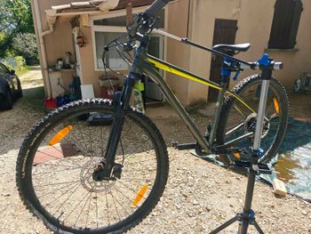 Used Cannondale Trail 3 2020 2020 Mountainbike, Green, 29 — image 5 of 7
