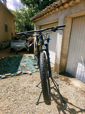Used Cannondale Trail 3 2020 2020 Mountainbike, Green, 29 — image 4 of 7