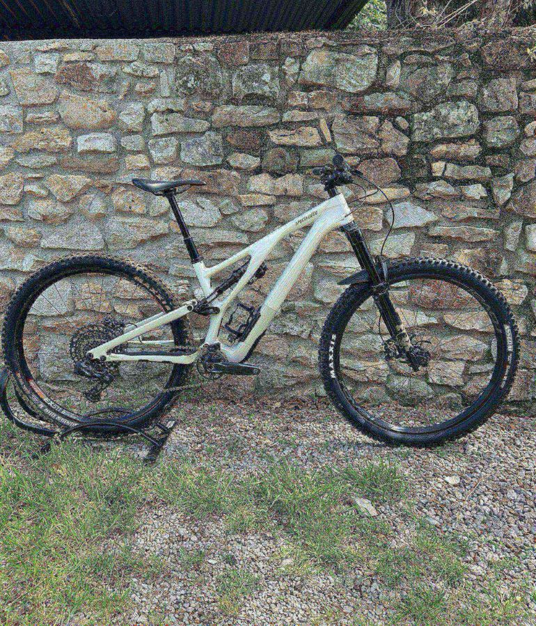 Brugt Specialized Stumpjumper EVO Expert 2023 2023 Mountainbike — billede 4 af 7