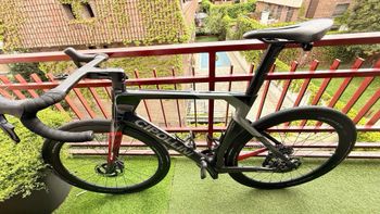 Used Cipollini Ad.One Shimano Dura Ace Di2 2024 Road & Gravel, Light Gray — image 6 of 13