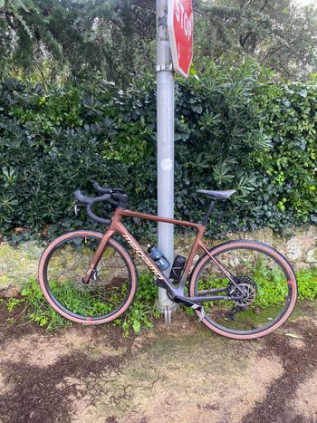 Used Megamo SILK 10 2024 2024 Road & Gravel, Black — image 2 of 3