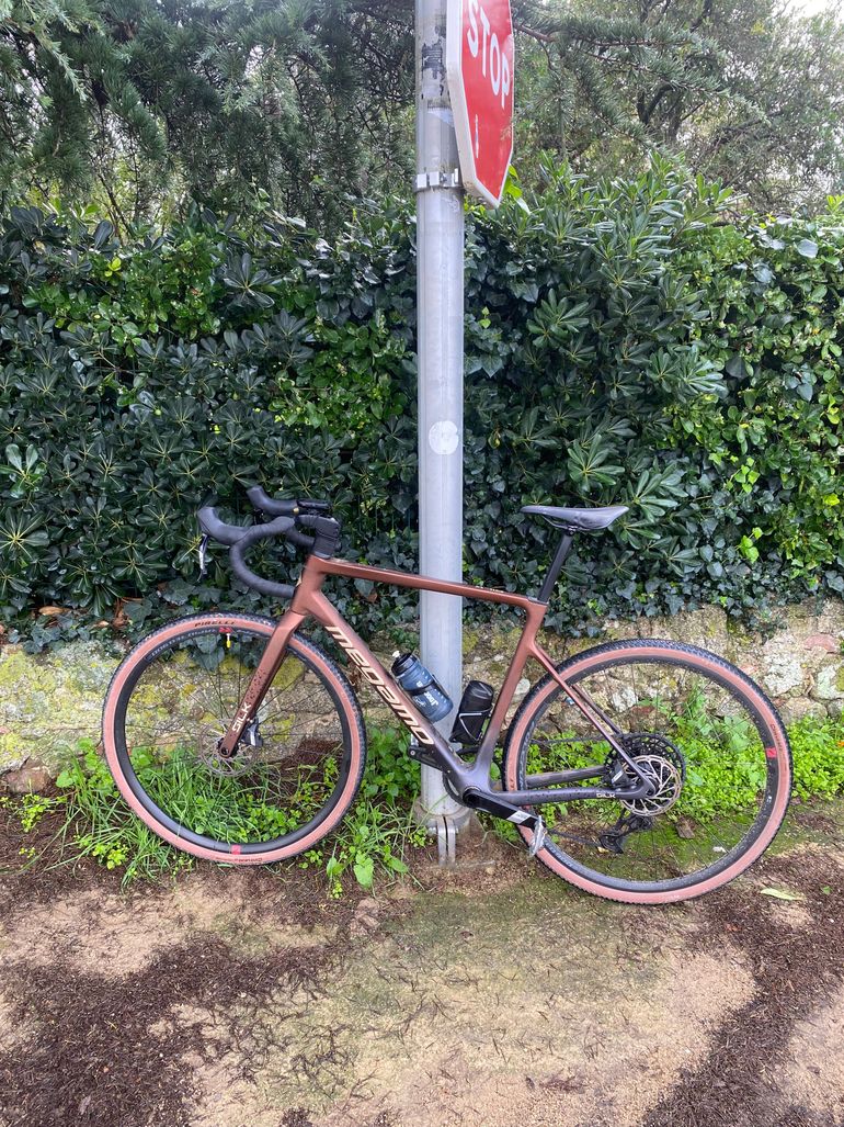 Used Megamo SILK 10 2024 2024 Road & Gravel, Black — image 2 of 3