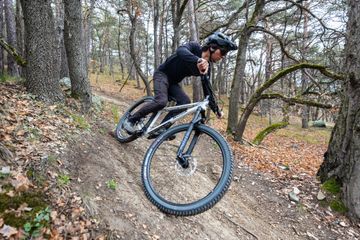 Used IORCYCLES MANGLER 2025 Mountainbike, White — image 9 of 16