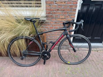 Used Specialized Roubaix SL4 Sport 105 2014 2014 Road & Gravel