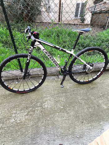 Cannondale, Lefty 29