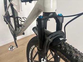 Used Canyon Exceed CF 7 2024 2024 Mountainbike, Light Gray, 29 — image 5 of 6