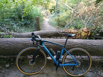 Used Canyon Grail CF SL 7.0 2020 2020 Road & Gravel, Blue — image 5 of 5