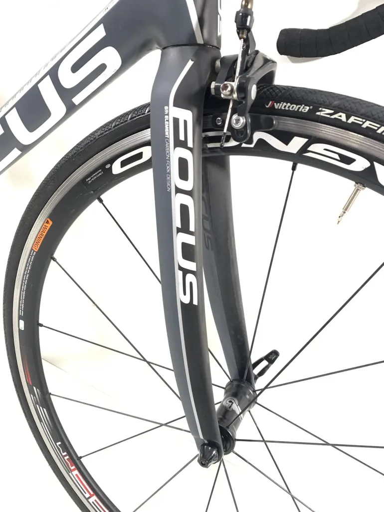 Focus cayo evo online carbon