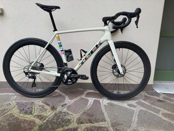 Used Trek Emonda Palmares Edition ALR 2024 Road & Gravel