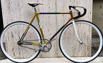 Other Brands, BICI PISTA FEDERAZIONE CICLISTICA ITALIANA ( TRACK BIKE ) Frameset