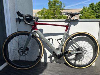 Used Focus IZALCO MAX 8.9 2024 2024 Road & Gravel, Light Gray — image 2 of 7