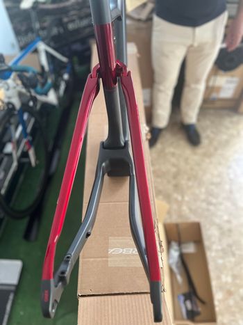 Used Orbea Oiz Frameset 2025 Mountainbike — image 3 of 3
