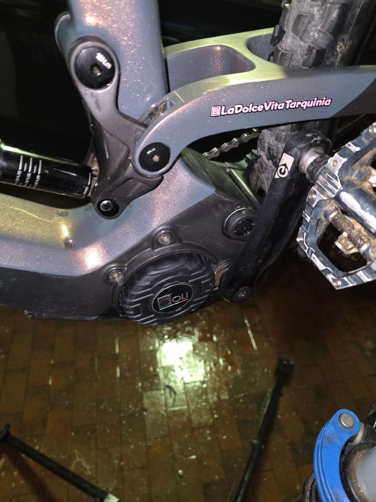 Used Olympia HAMMER 2023 Mountainbike — image 12 of 19