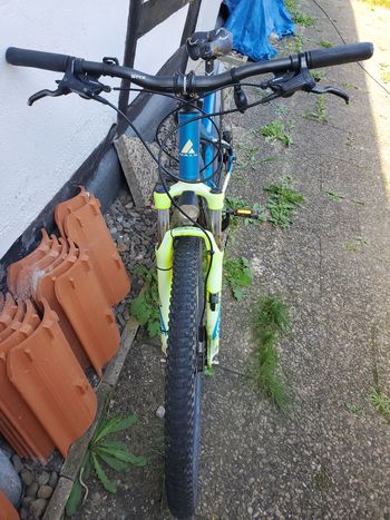 Used BULLS Sharptail 3 Disc 29 2023 2023 Mountainbike — image 3 of 6
