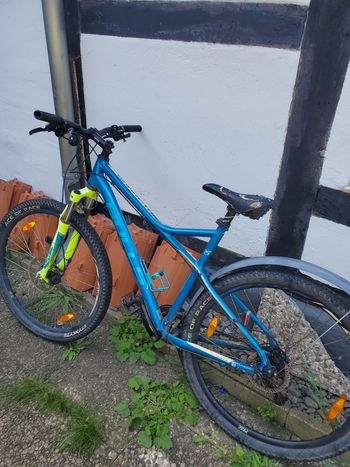 Used BULLS Sharptail 3 Disc 29 2023 2023 Mountainbike — image 1 of 6